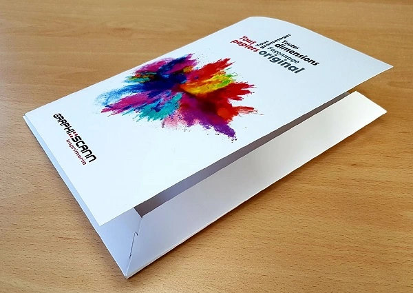 Chemise &agrave; rabats