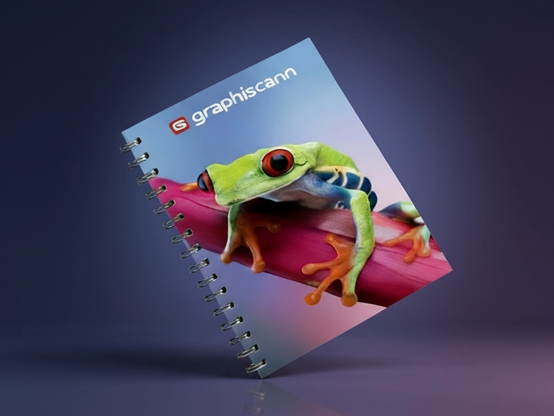 Brochures spirale métallique