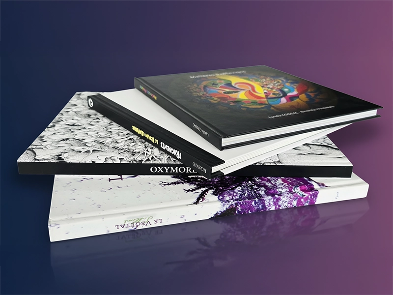 Brochures avec couverture BD